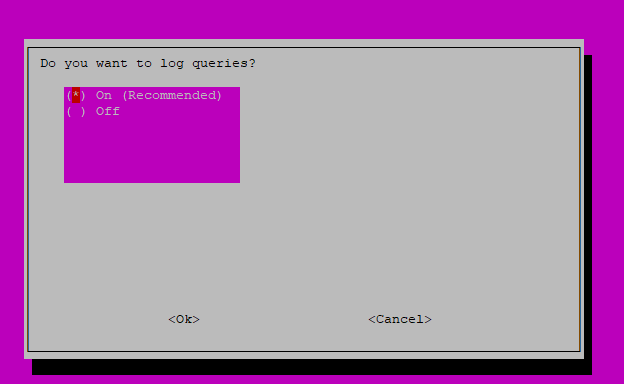 Pi Hole - Install Options - 11