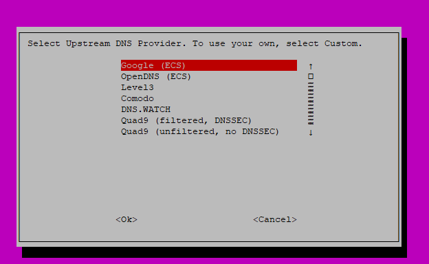 Pi Hole - Install Options - 4